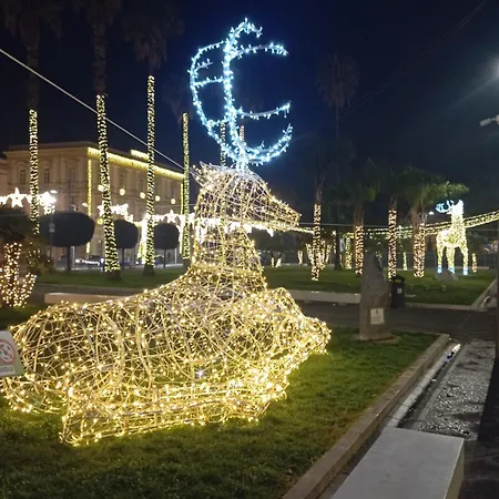 Spring House Daire *